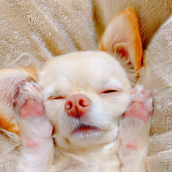 2a67ff8f 6e49 4ced a9d8 2ff1f536dadd 1637832468636