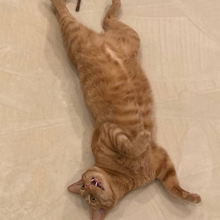 2a68124f 02b9 475f 881a 76cf83f78c5f 1617188492129