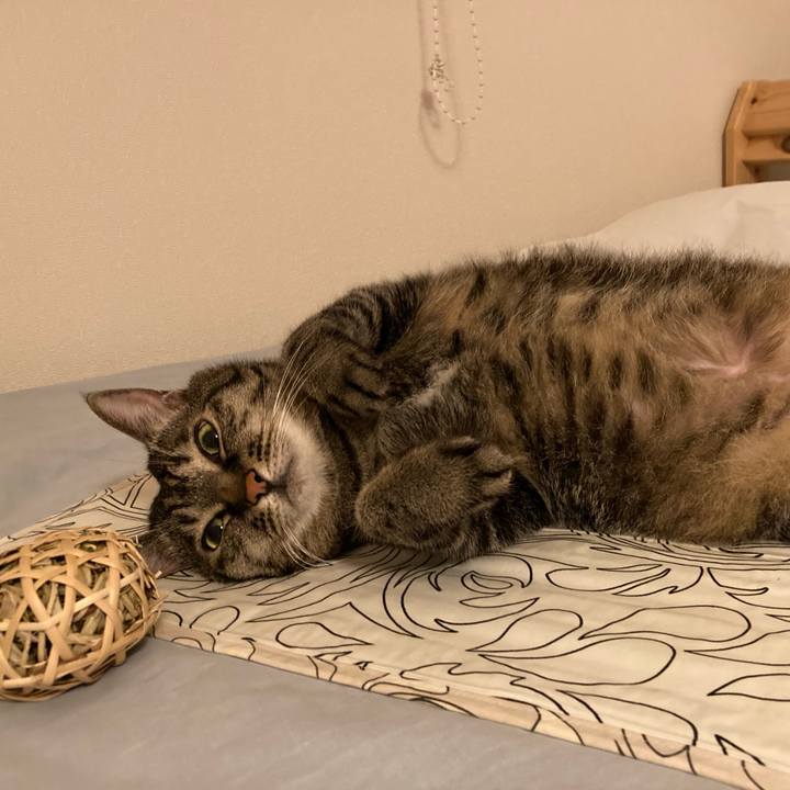 2a683483 37ad 4a48 8cdf 763e843fcc3a 1690168845902