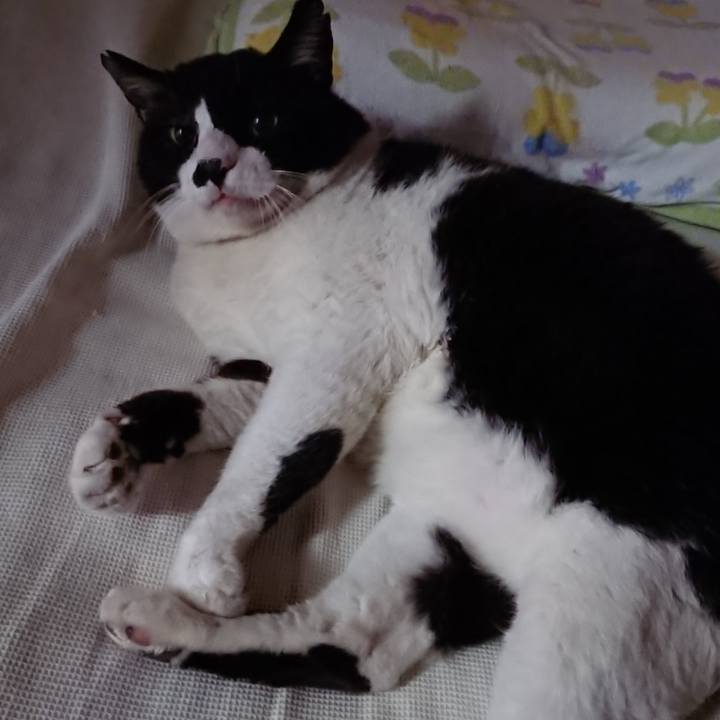 2a686798 e353 4884 9b5f aa982a8ba19d 1631592366325