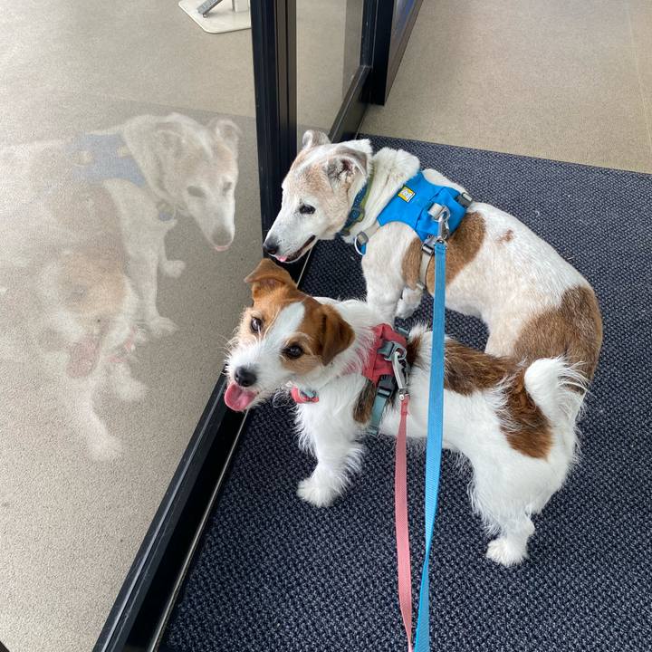 2a68724e 1445 40e8 bbf2 fe817c00d86f 1717301653208