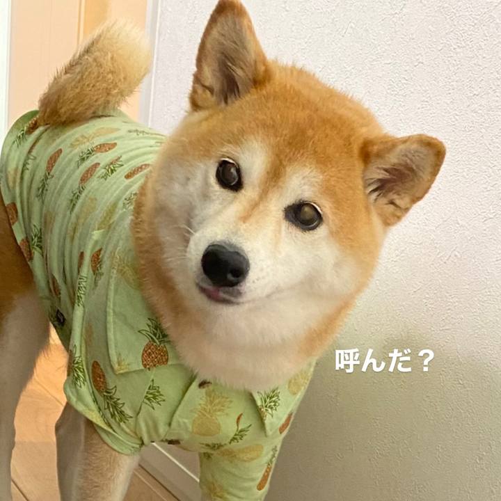 2a6887b5 1f01 4422 ade9 a31d08f945d4 1656728101842