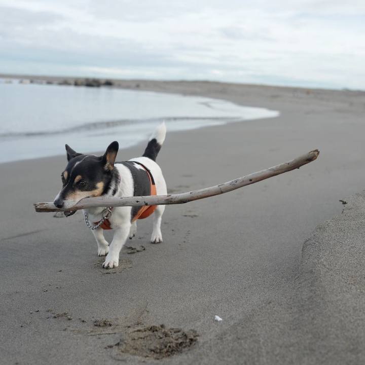 2a68a3e9 ee50 4731 9904 587fe0380d17 1508559838131