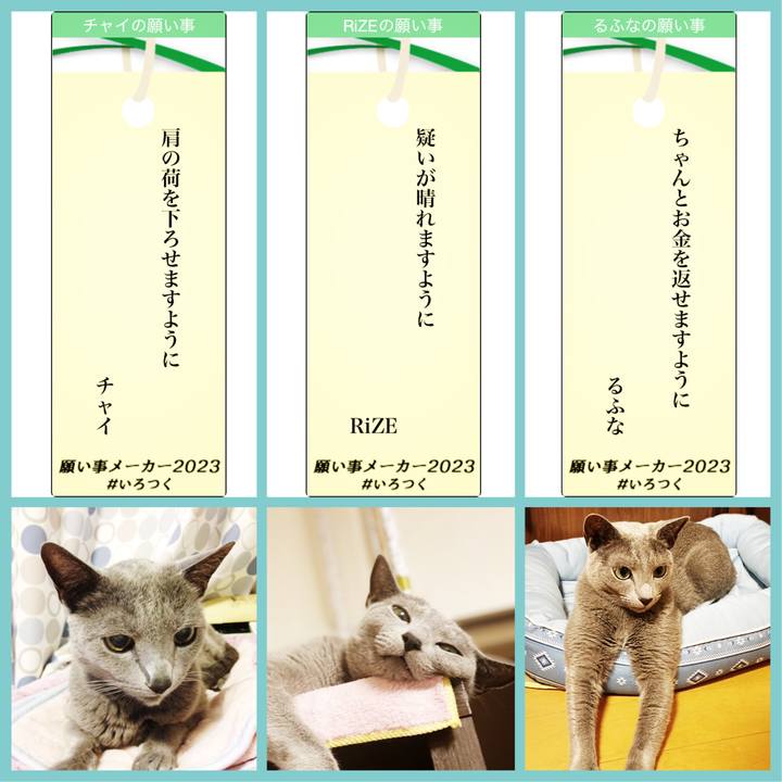 2a68c63a 1d96 42ec 9f8f 33cd058a84c9 1688650883544