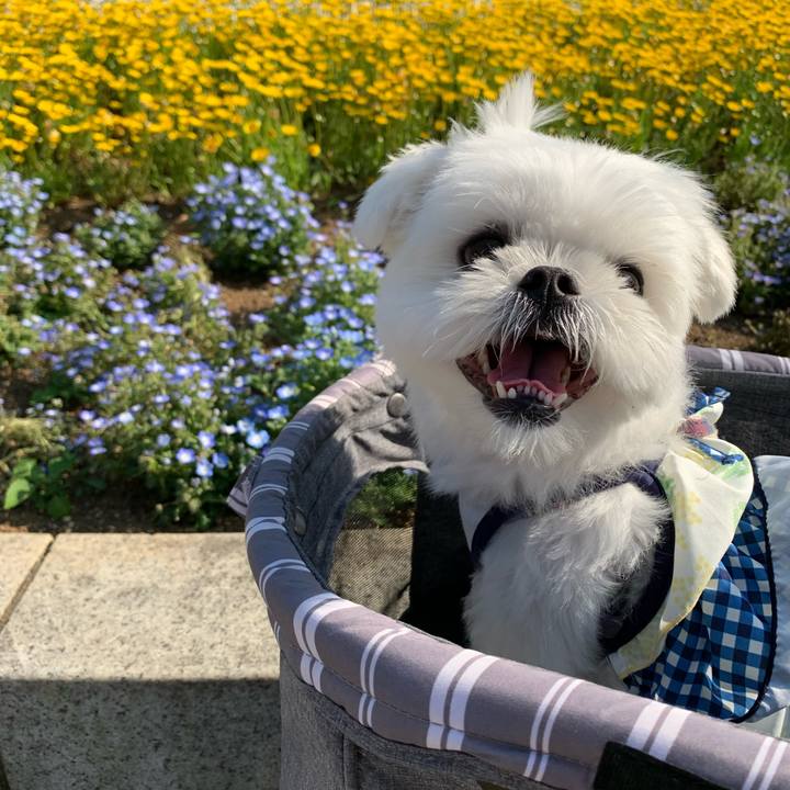 2a68ef36 df07 494c a797 e361686e2389 1651840851917