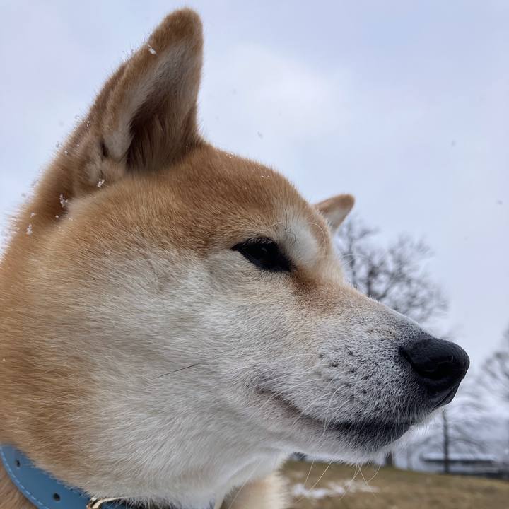 2a6908bd 1481 4619 80f2 8a3a86302c93 1767263036018