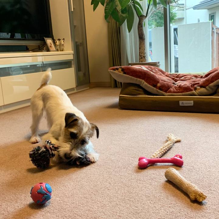 2a69148d eb10 4ff9 beb8 6e8d8961487e 1580103219142