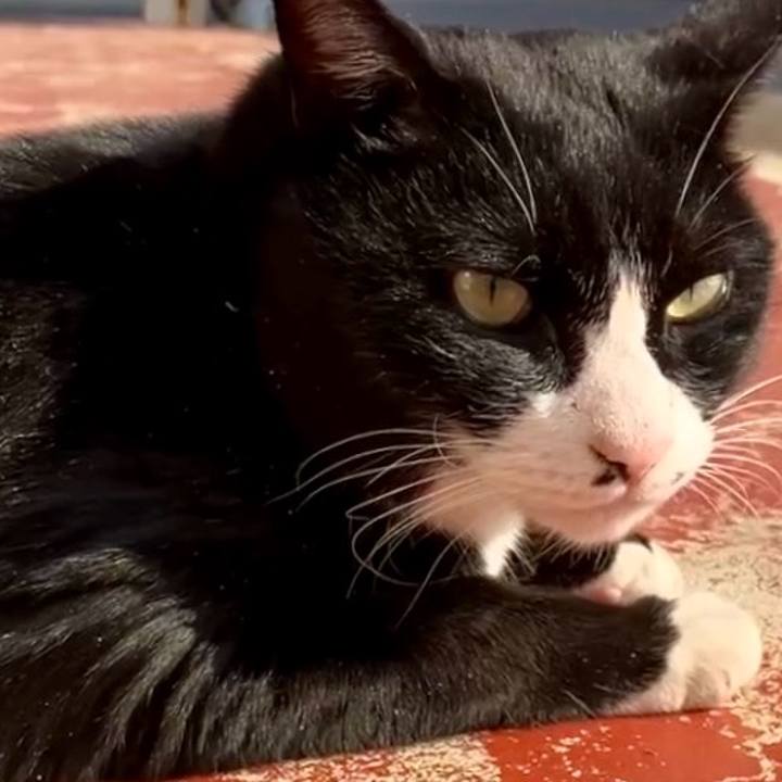 2a696a59 50e1 4781 a1ba aa686e0078d3 1737426001838