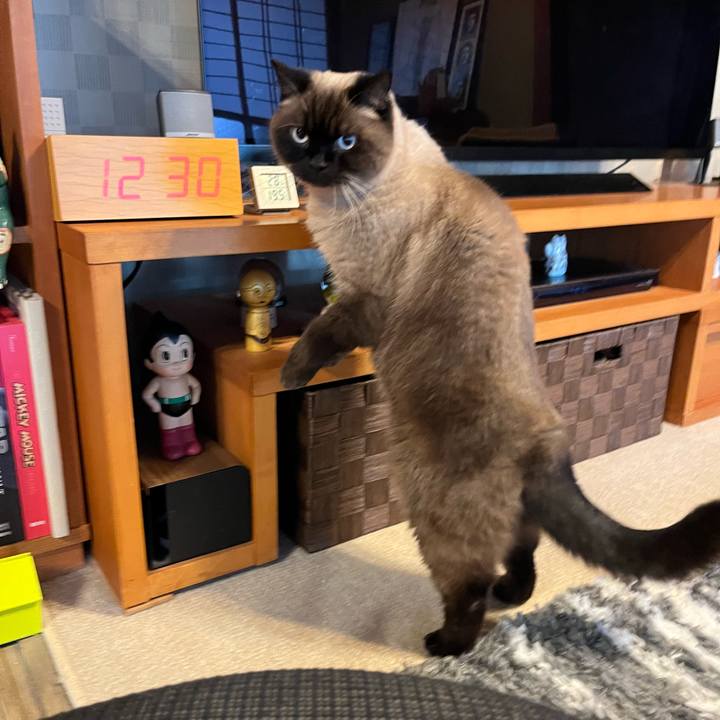 2a699722 8b98 49a4 bac5 dcc4e8467ec6 1704598440838