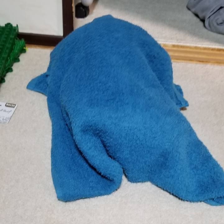 2a69a4d4 ccba 44a8 b832 195f966f2012 1686483321303