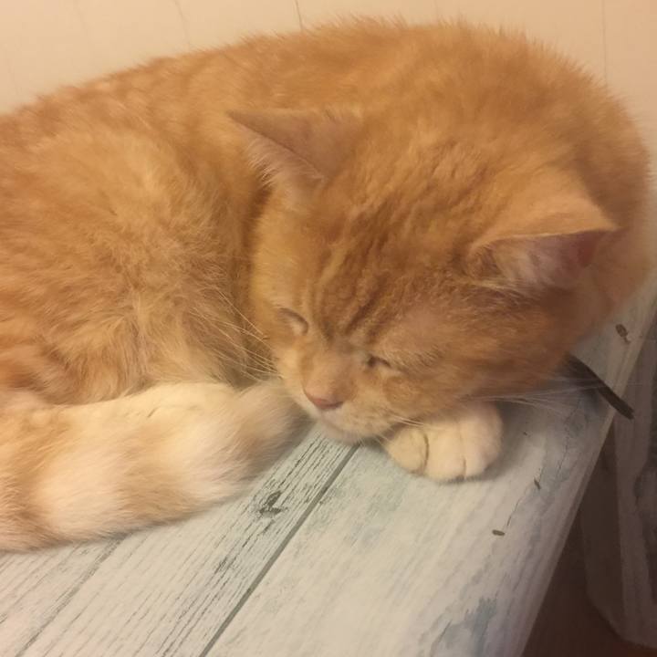 2a69b24a eef8 42cf b359 c7257c638ea0 1564505151717