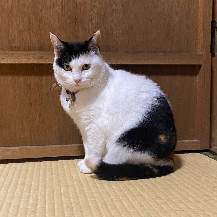 2a69b8fd 7d7d 46ae 91e4 cc08a0805a2e 1747577436846