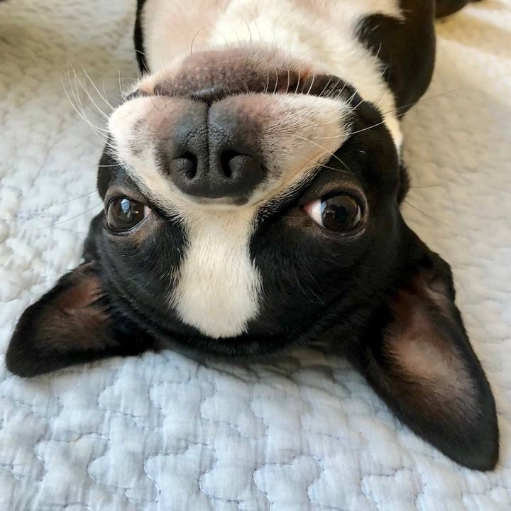 2a69c3e4 21b4 4211 a66e 1abbb94fcbe6 1543027560292