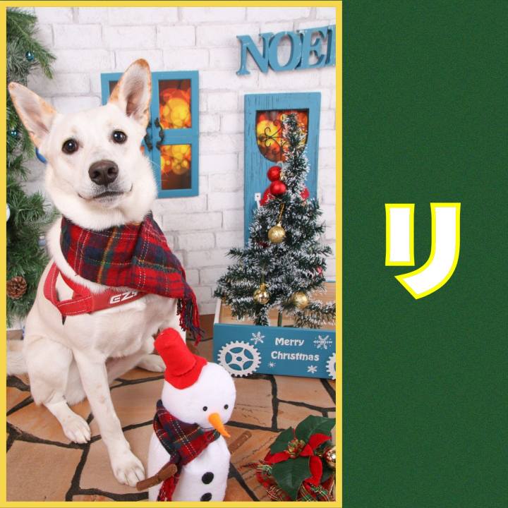 2a6a5f03 6c80 4a51 b24e aeb3ca2608cc 1577191993706