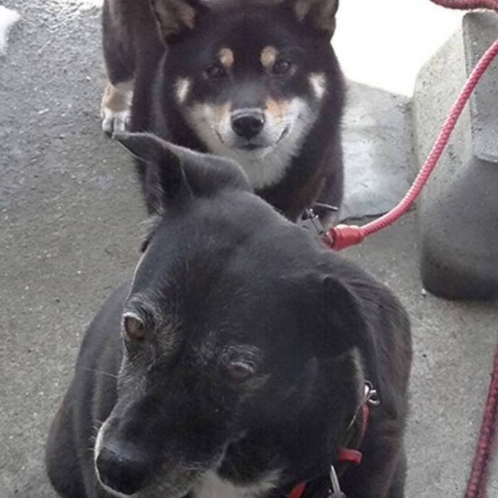 2a6a6a4b f5d3 436f af7a 9dcbb8af5694 1703328064620