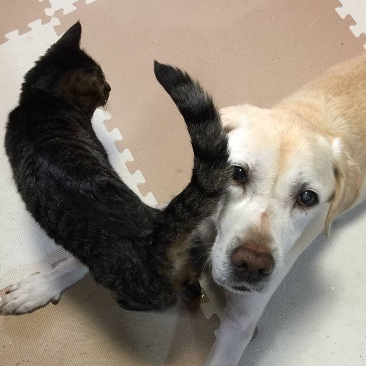 2a6aa4ce 159e 4af4 b51a 0a09a04c4ce3 1560931740296