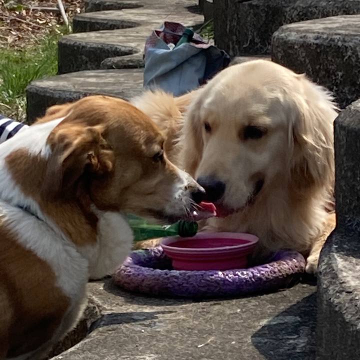 2a6adb84 878e 4cdd 8b07 058287d717f6 1742872606820