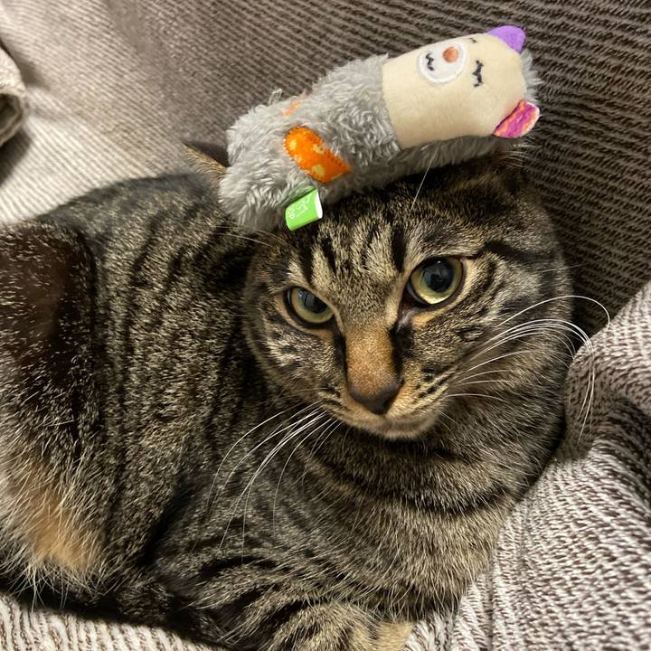 2a6b123b 5d81 4162 874b 27b4e7ddefe7 1647773898374