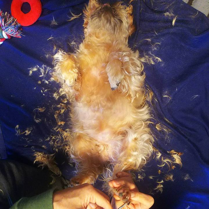 2a6b6a34 0444 4ca9 940b 784d19532a4c 1552095054844