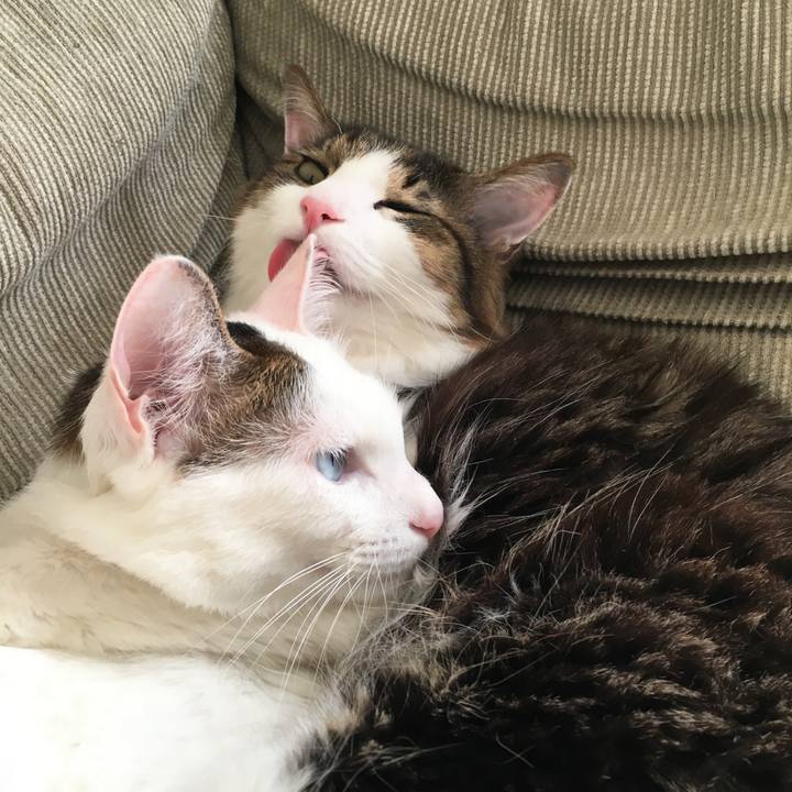 2a6b7275 0fba 4181 976f ef42a836663f 1548644599325