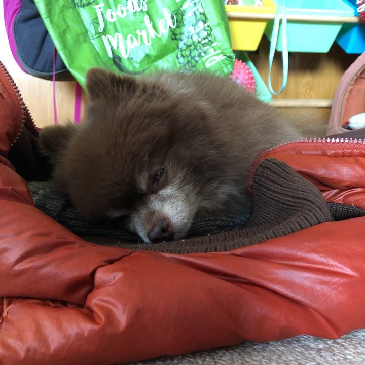 2a6b9c6e 5cbe 417f 9527 98e4ce6f1ac4 1639281624433