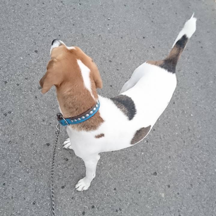 2a6ba01f c06b 45a8 ba0f c6cfe74710b7 1568198742687