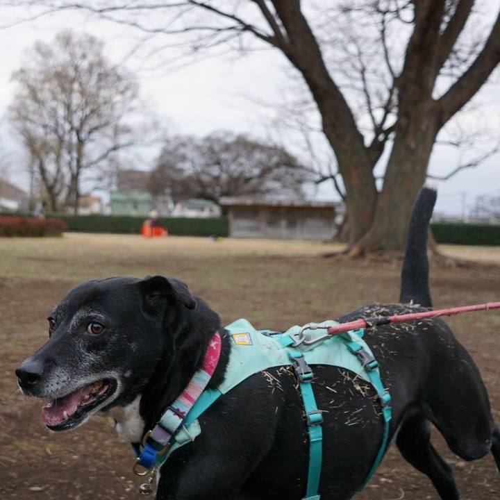 2a6c0c12 603c 4362 86bc 7a914c752fab 1773709318839