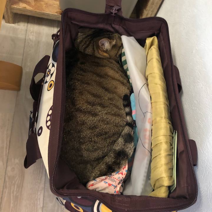 2a6c32ed ac3e 46b0 8d76 77e67181e023 1622650030567