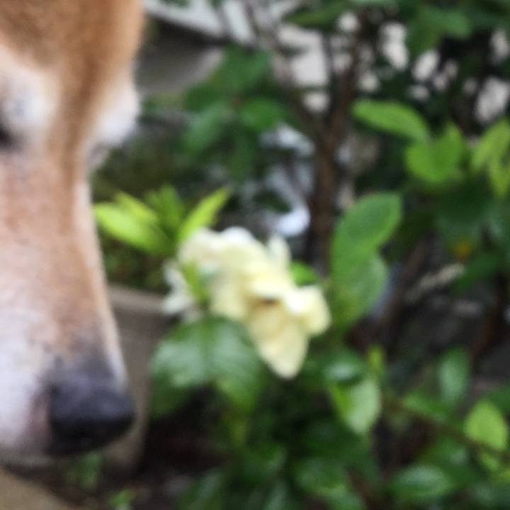 2a6c3a07 d0df 44b0 bf71 aef281eaf221 1625275259993