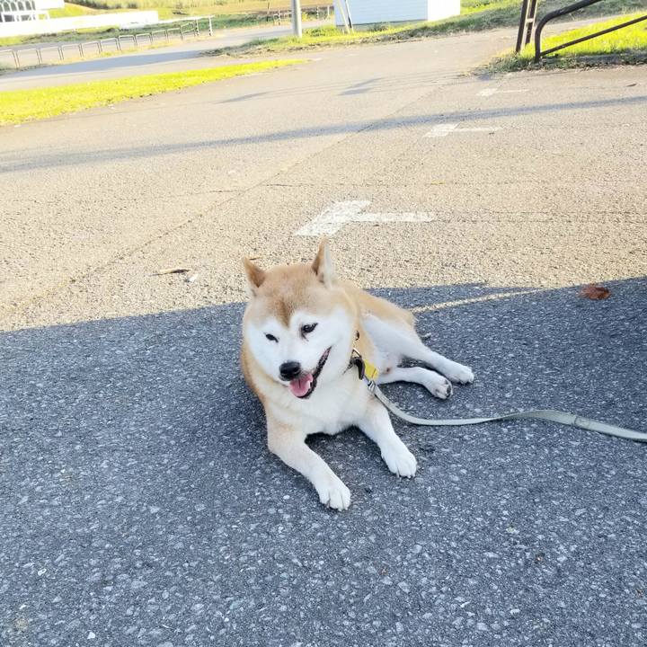 2a6c4256 8bb4 45c1 b503 83591f253b43 1633590691974