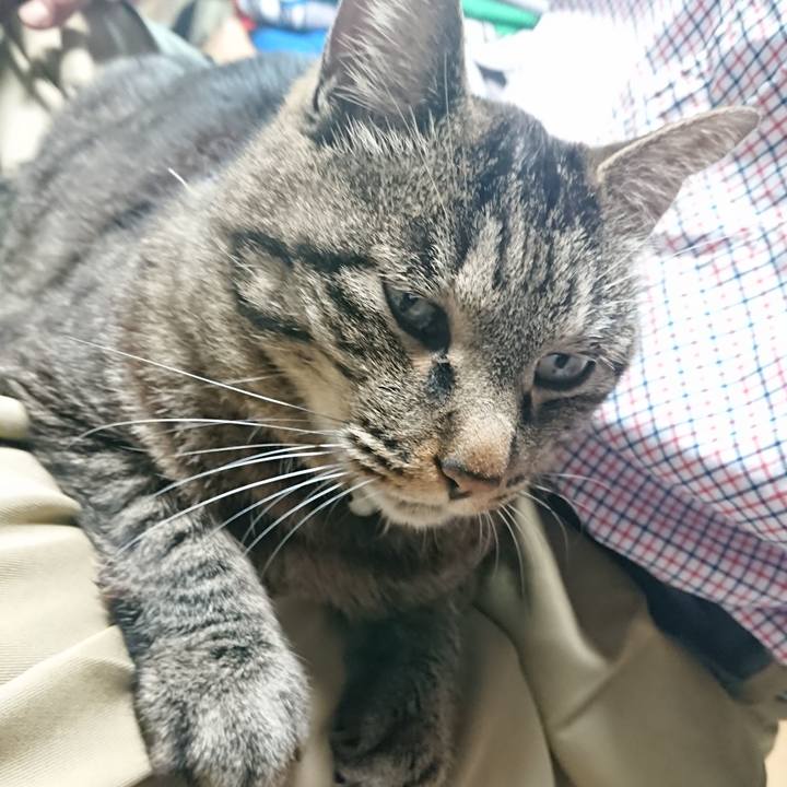 2a6c53d7 a9ad 4065 a21a 8c5075bb692c 1653471086920