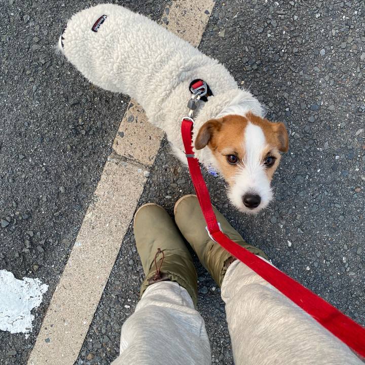 2a6c640d 6953 47ba abeb 35e1e7a39632 1738882362364