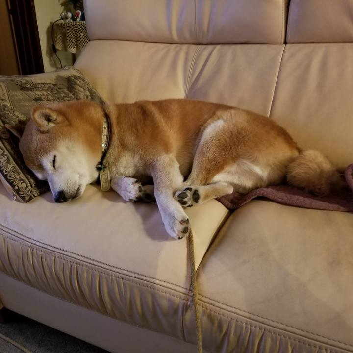 2a6cb568 b117 404a a775 494240caaeda 1667819686329