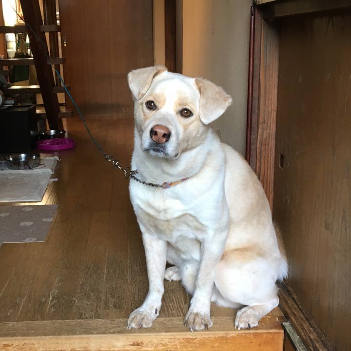 2a6cccf1 6d8b 48ba 9d29 eace9a8c6e04 1517015181874