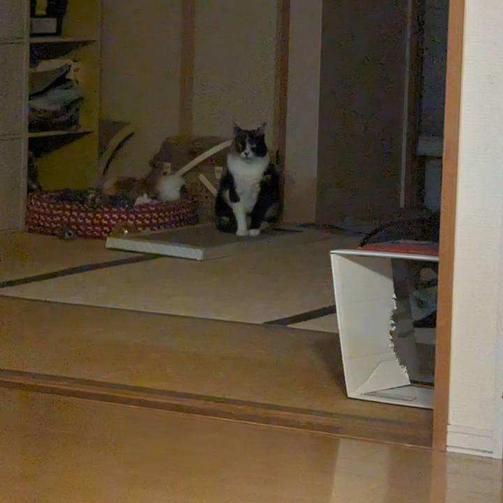 2a6cedf0 b22d 4cd9 8118 a48b2ee49cc5 1708754173796