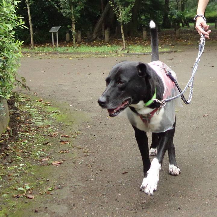 2a6d08ba 97a3 4ad4 a25c cdc4d4d386d1 1631144248270