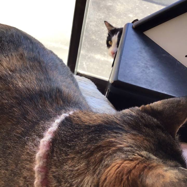 2a6d0a43 8724 4f2a 95d7 35e1313cd778 1677742364799