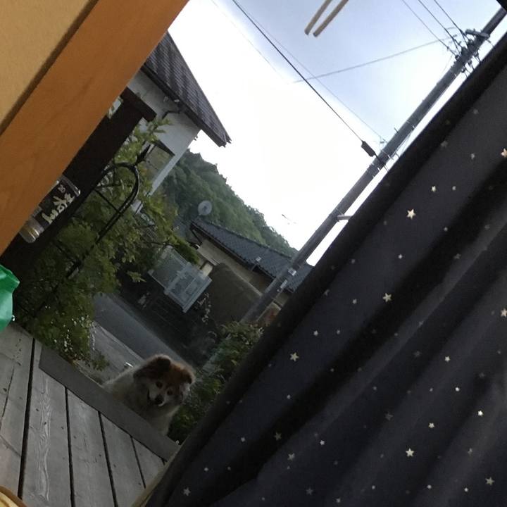 2a6d1a6b d7f7 47a6 b82f 51d0f0969621 1574638151342