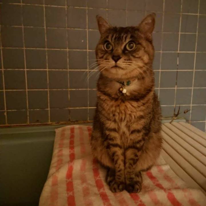 2a6d5e6d c8e3 494e a53f 75d65885a4a8 1576142442565