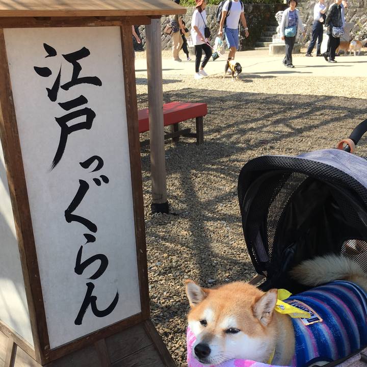 2a6d7759 5a67 4103 8a86 634dd167ab08 1570244418676