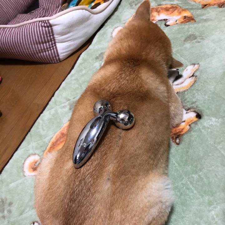 2a6d8bf5 e50b 4284 b2b4 15a2ed980a22 1573948474421