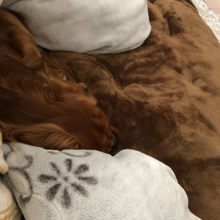 2a6d9552 05b4 4ea2 af0e 01584b1c7d6e 1550992072525