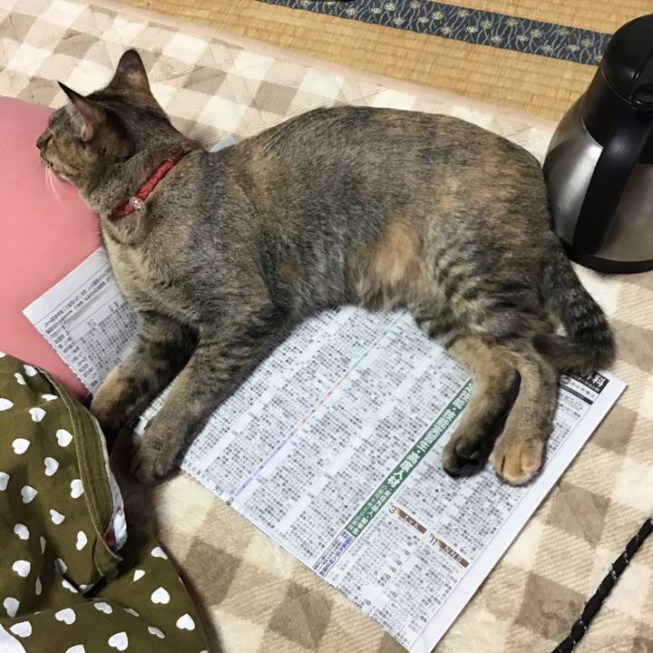 2a6d9aa0 abc7 441a 987f 6853febf32f9 1579219860643