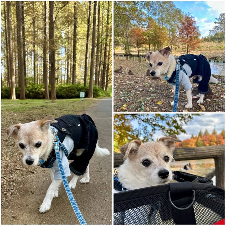 2a6db39c db84 4344 9e40 527711d2e63c 1763276506419