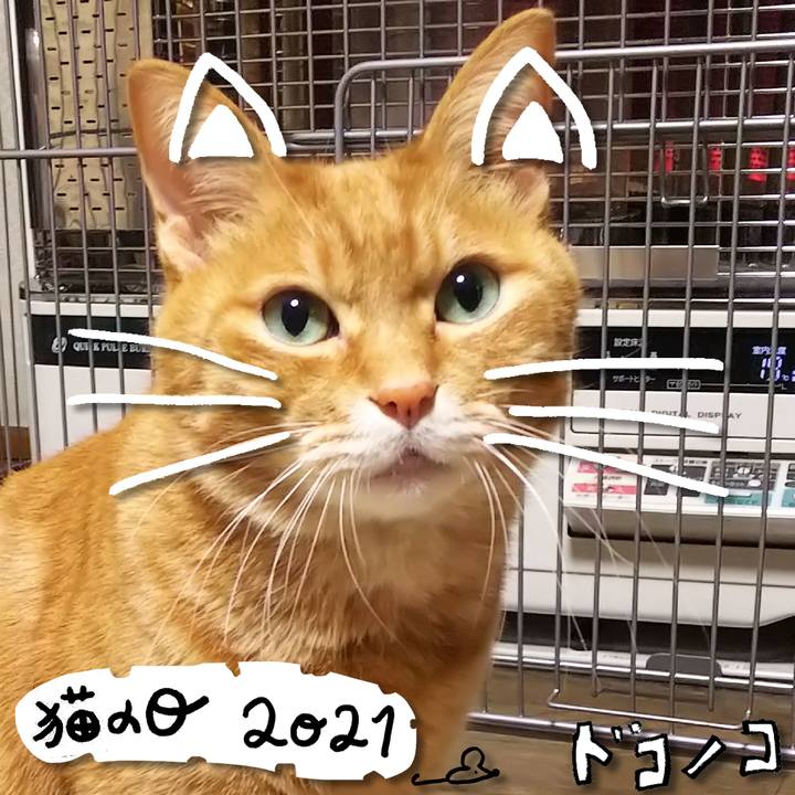 2a6e02ed e3e8 499f b484 7b7efcdd48c4 1613974239410