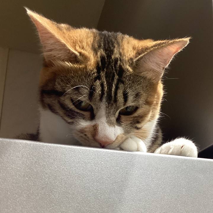 2a6e12bc 9c25 4c28 bb78 b7aa3a031827 1650071033841