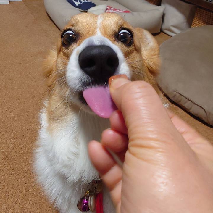 2a6e2ba4 178c 4dae aa3d 6450c5b431be 1763337233270