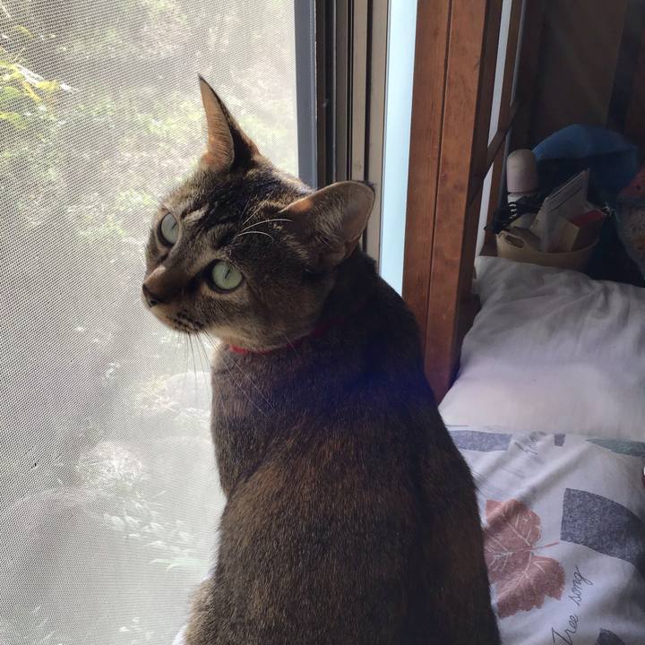 2a6e4044 c41b 4dd3 beaa 23591897d872 1604970288646