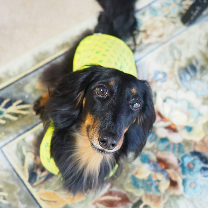 2a6e452e d9c1 4133 92c9 2c2bffa897c1 1527215884229