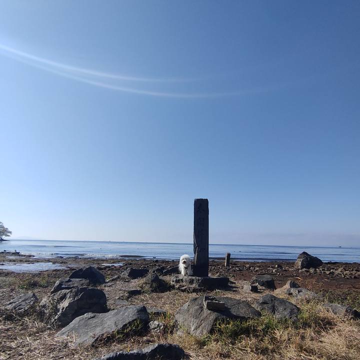 2a6e7a11 d27d 4dde 9c5f d8b1597ee37c 1764473042313